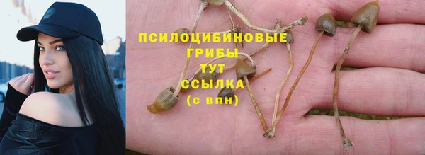 apvp Алзамай